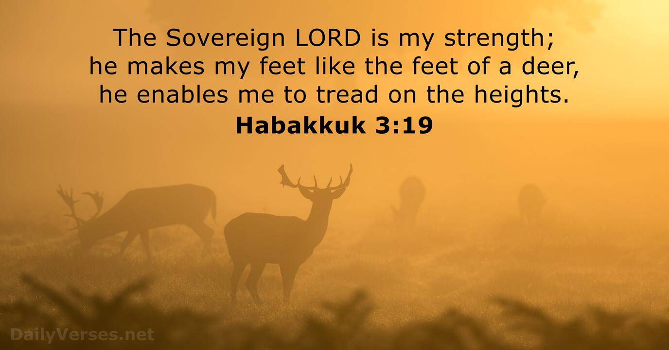 Habakkuk 3:19 - Bible verse of the day - DailyVerses.net