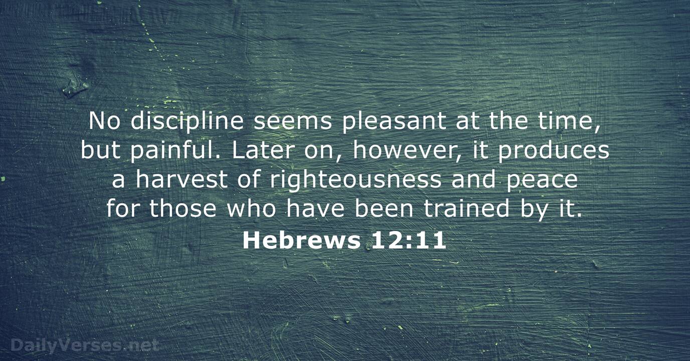 Hebrews 12 11 Bible Verse DailyVerses