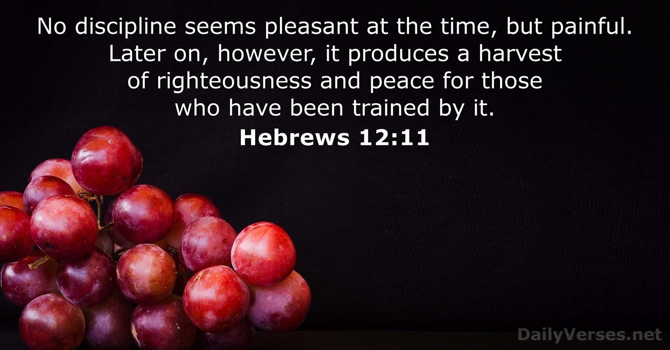 May 25 2016 Bible Verse Of The Day Hebrews 12 11 DailyVerses