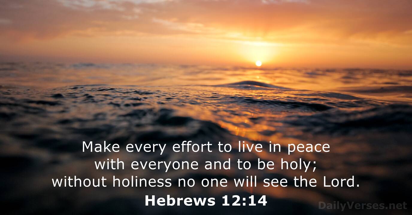 Hebrews 12 Vs 14 Niv