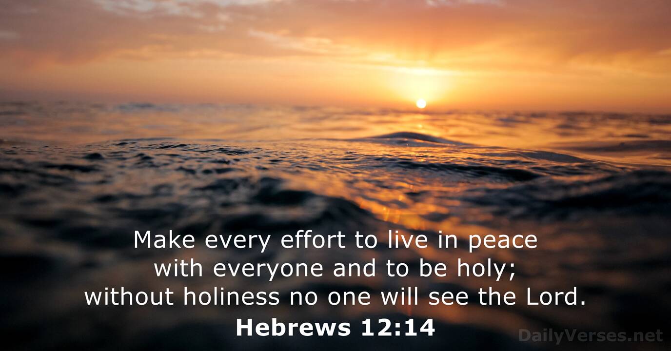 Hebrews 12 14 Bible Verse DailyVerses