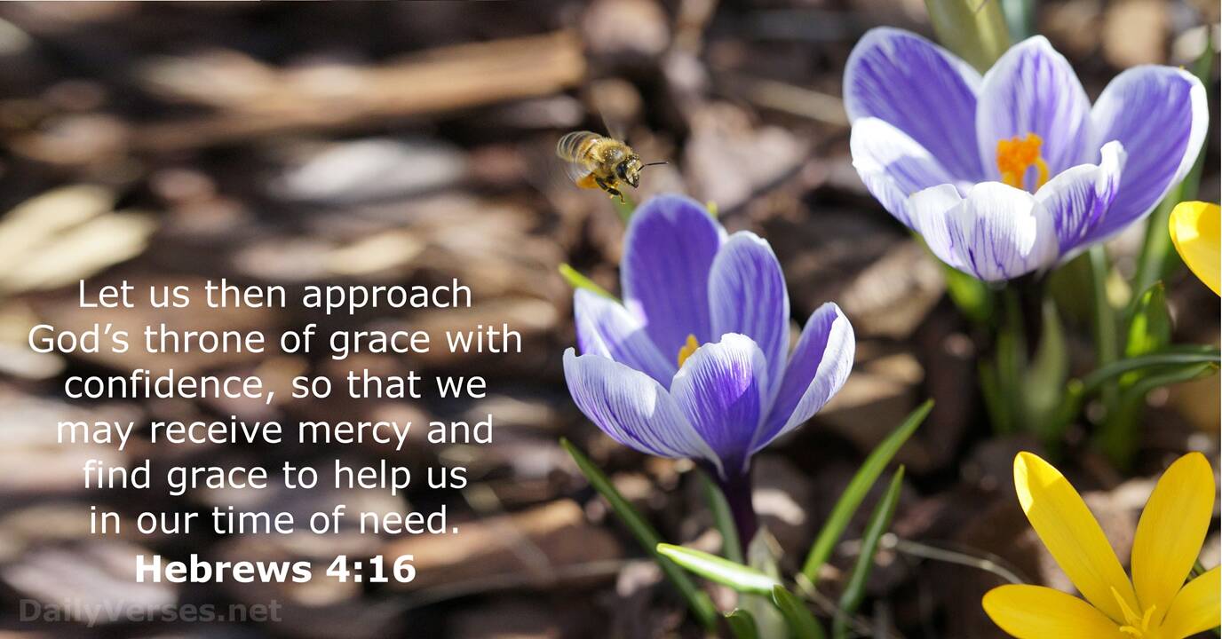 Hebrews 4 16 Bible Verse DailyVerses