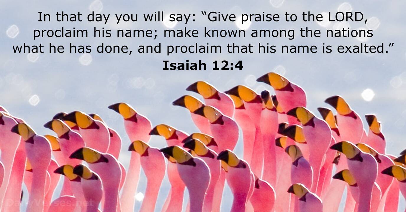 16 Bible Verses About Proclaim
