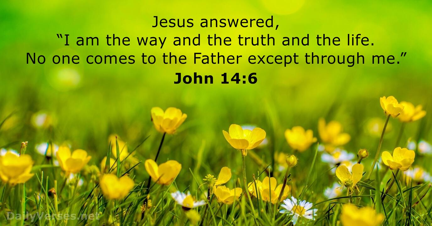 John 14:6 - Bible verse - DailyVerses.net