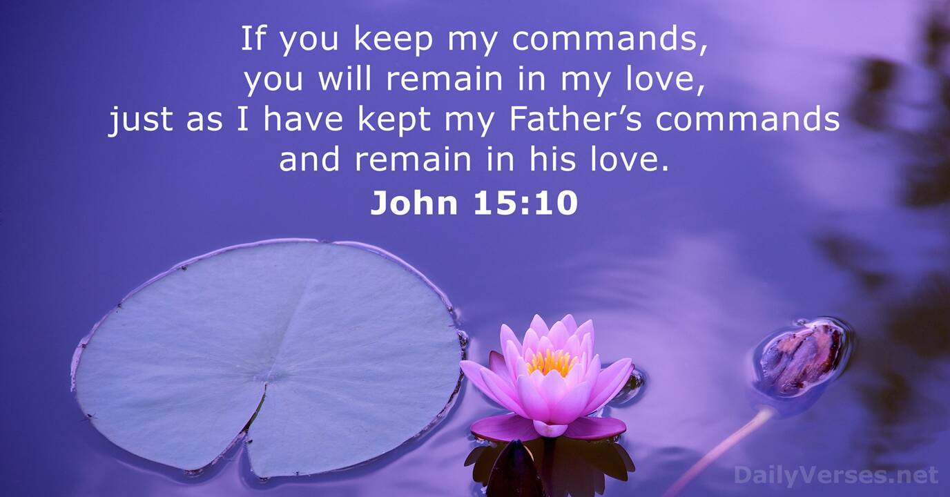 June 9 2021 Bible Verse Of The Day John 15 10 DailyVerses