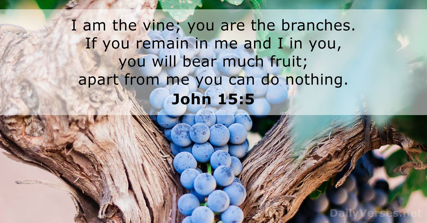 February 7, 2024 - Bible verse of the day - John 15:5 - DailyVerses.net
