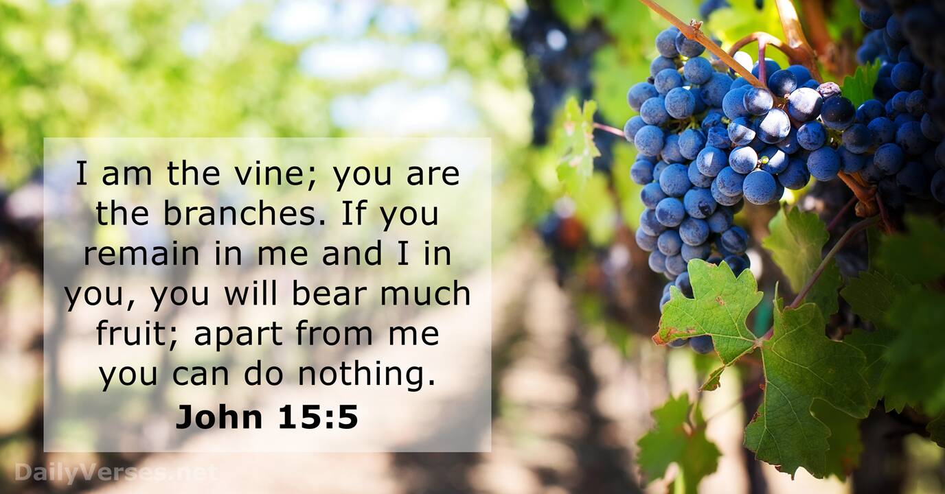 John 15:5 - Bible verse - DailyVerses.net