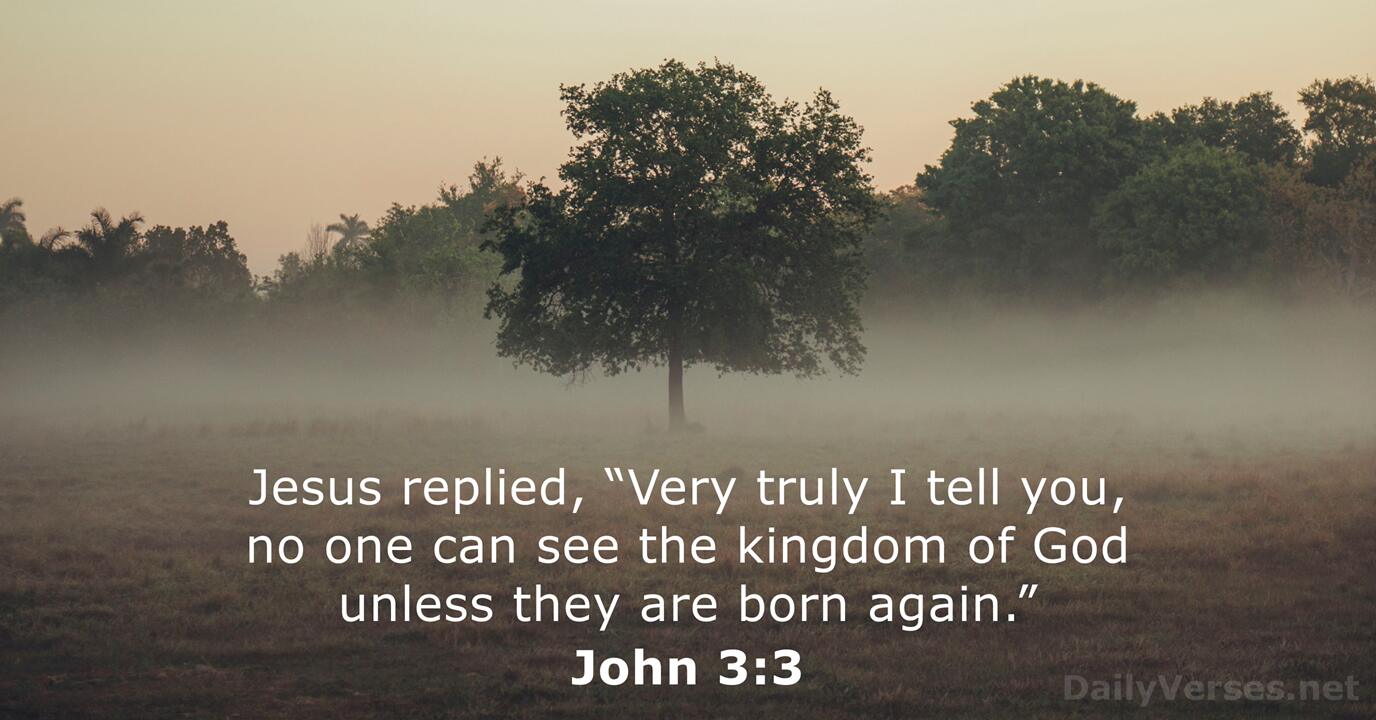 John 3 3 Bible Verse DailyVerses