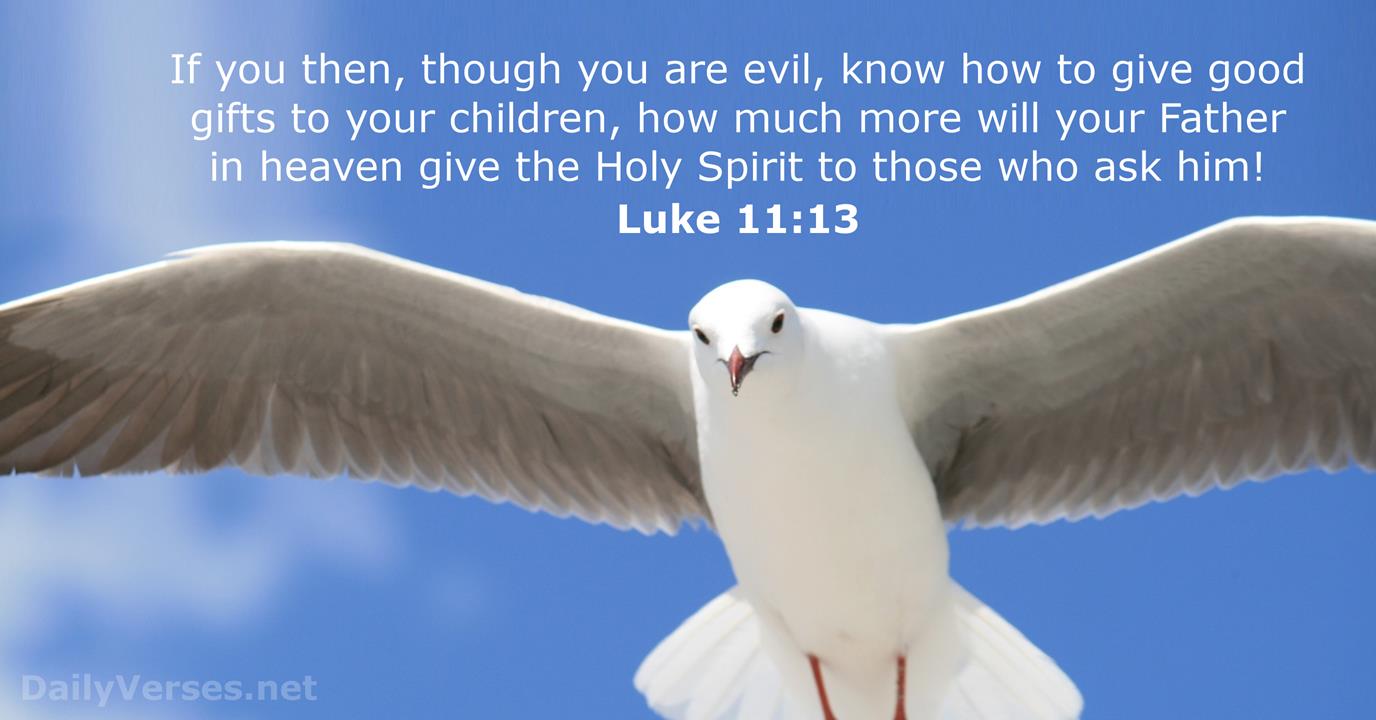 May 25 2015 Bible Verse Of The Day Luke 11 13 DailyVerses