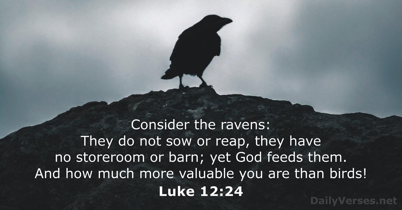 November 5 2020 Bible Verse Of The Day Luke 12 24 DailyVerses