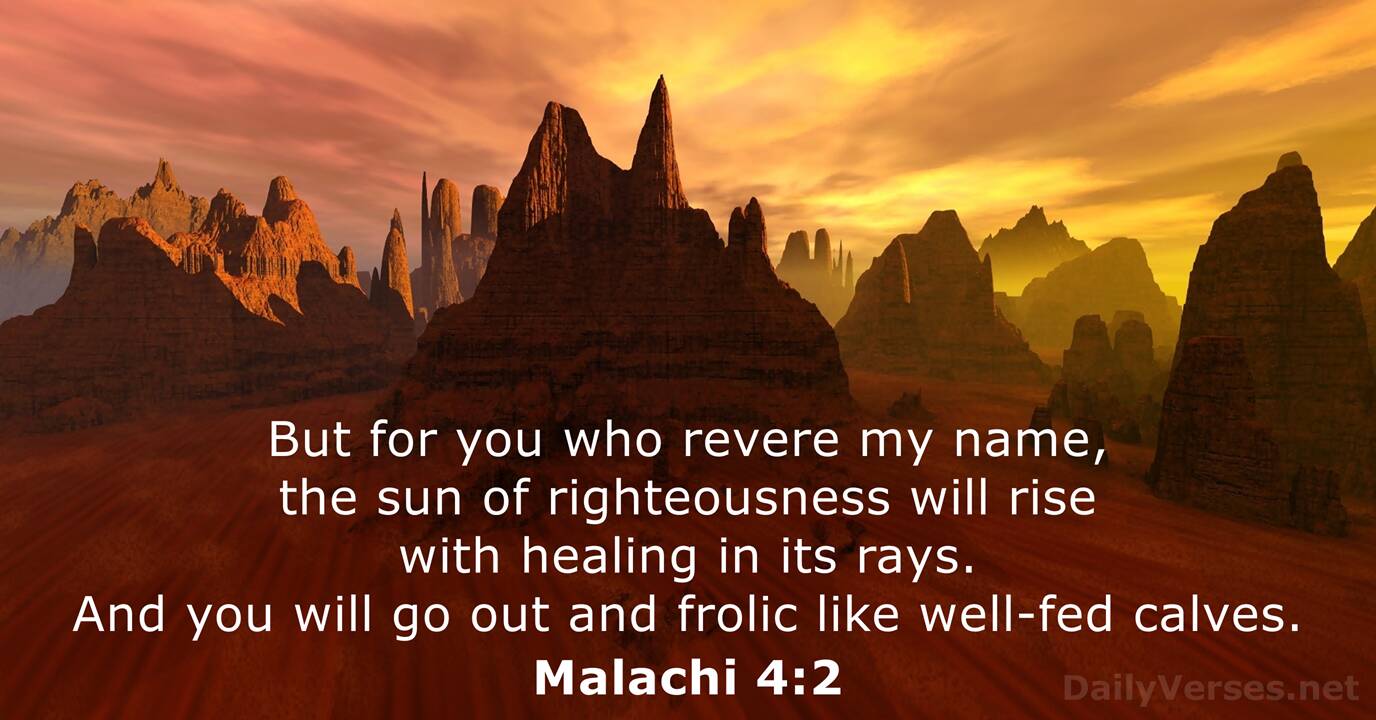 Malachi 4 NIV NASB DailyVerses