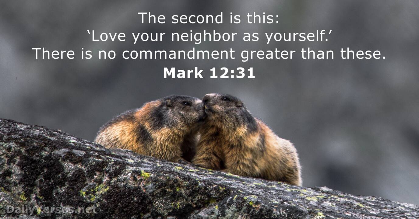 help thy neighbor bible verse