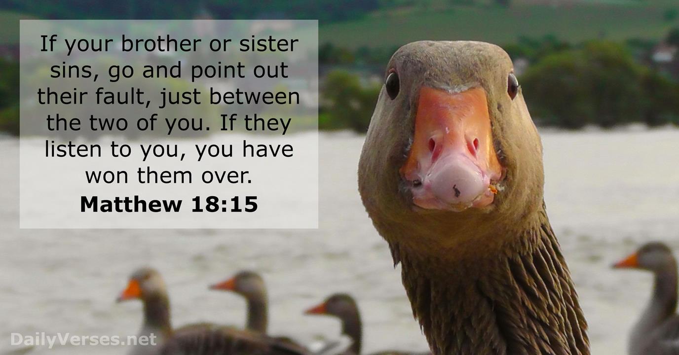 June 12 2015 Bible Verse Of The Day Matthew 18 15 DailyVerses
