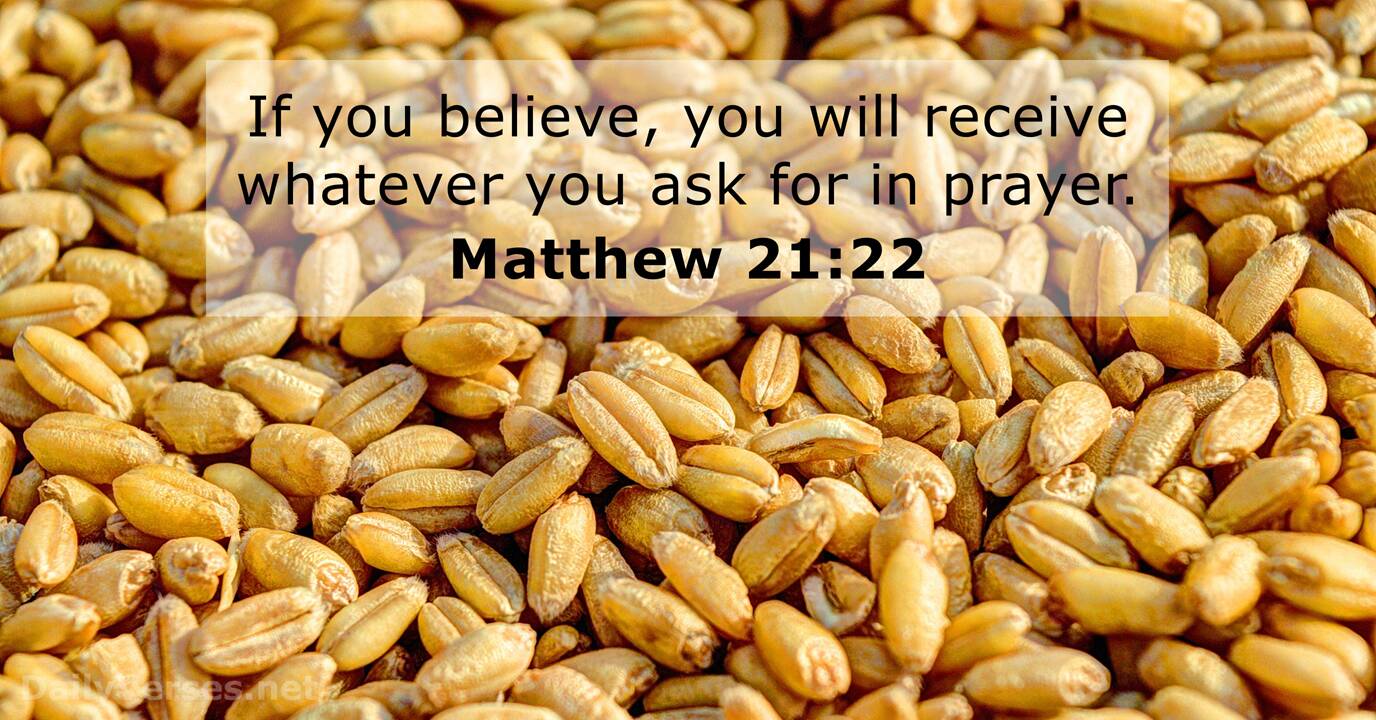 Matthew 21 22 Bible Verse DailyVerses