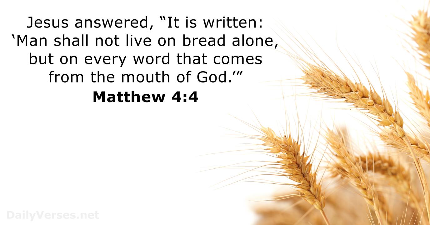 Matthew 4:4 - ESV - Bible verse of the day - DailyVerses.net