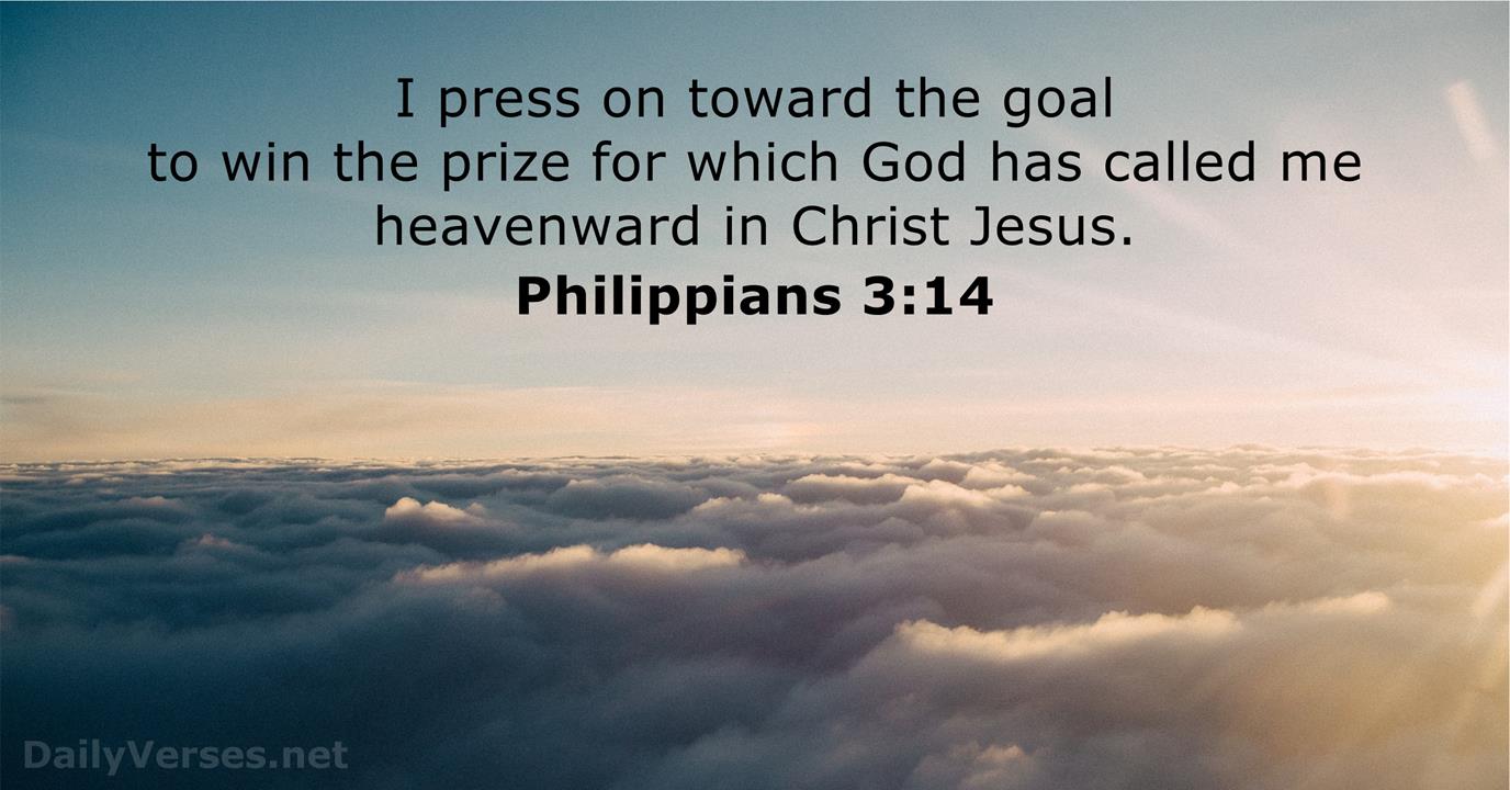 Philippians 3 14 Bible Verse DailyVerses