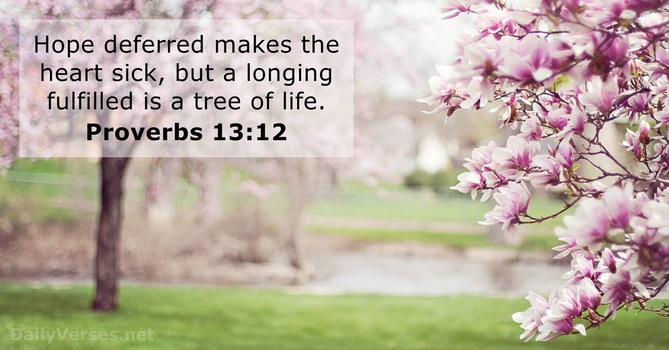 Proverbs 13 12 Bible Verse DailyVerses