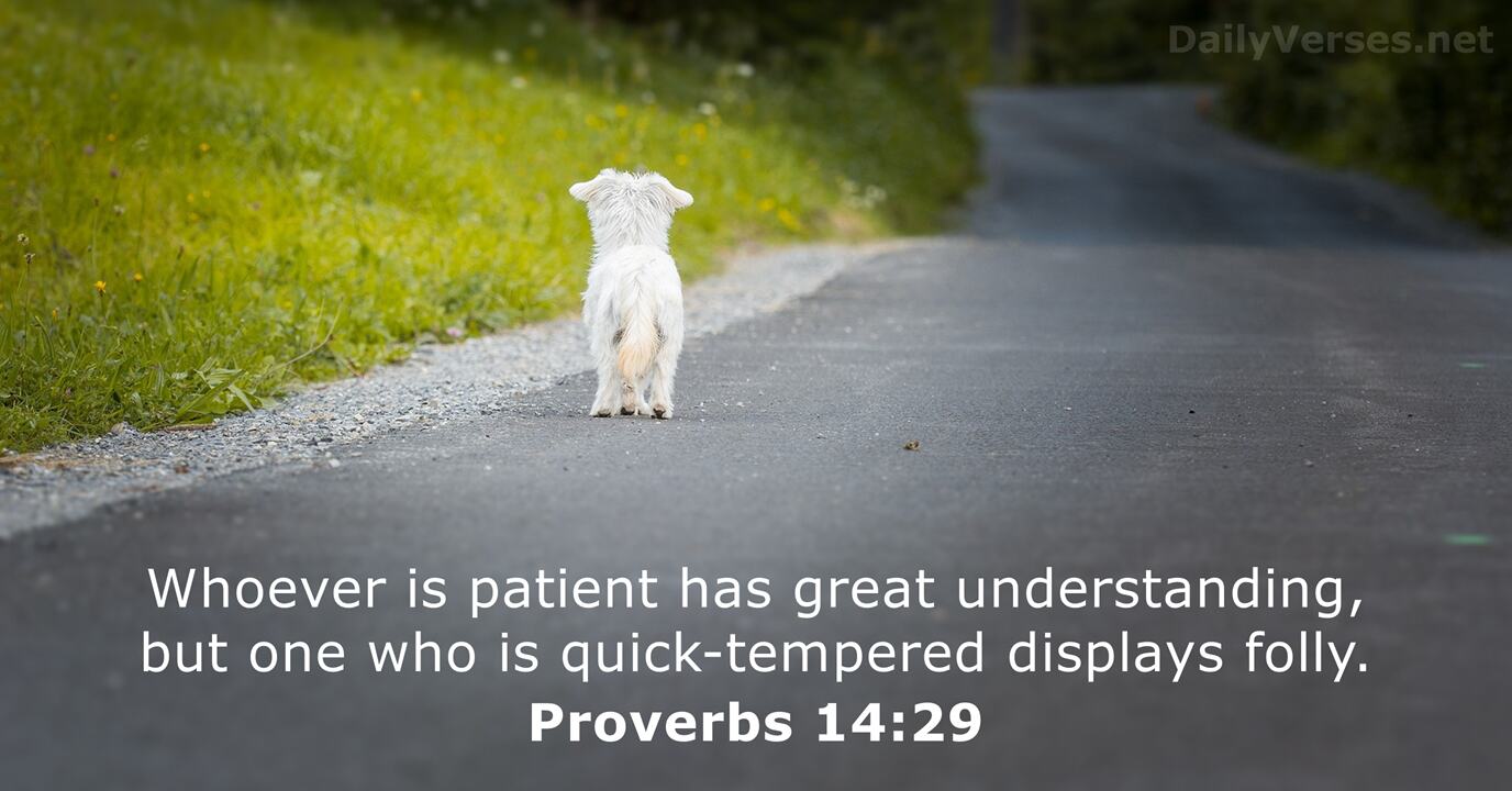 Proverbs 14 29 Bible Verse DailyVerses