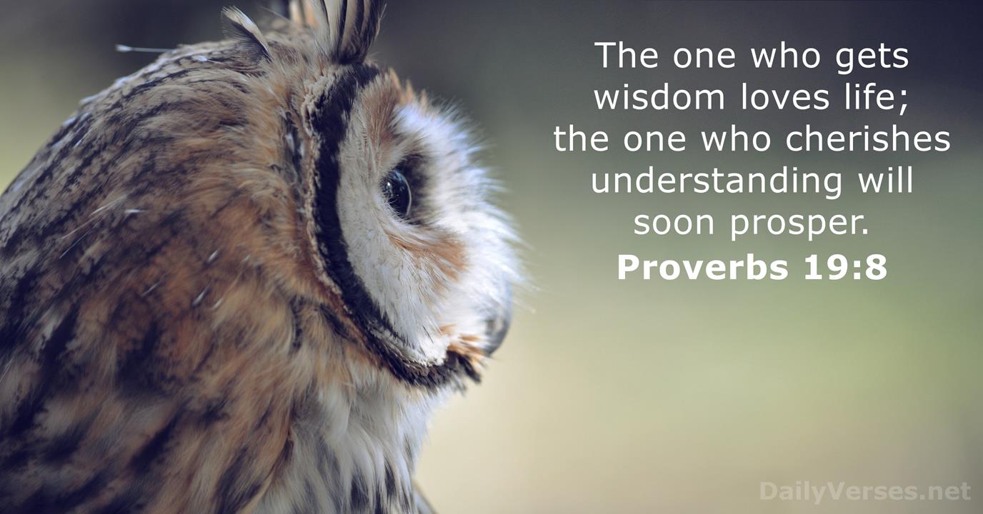 Proverbs 19 8 Bible Verse DailyVerses