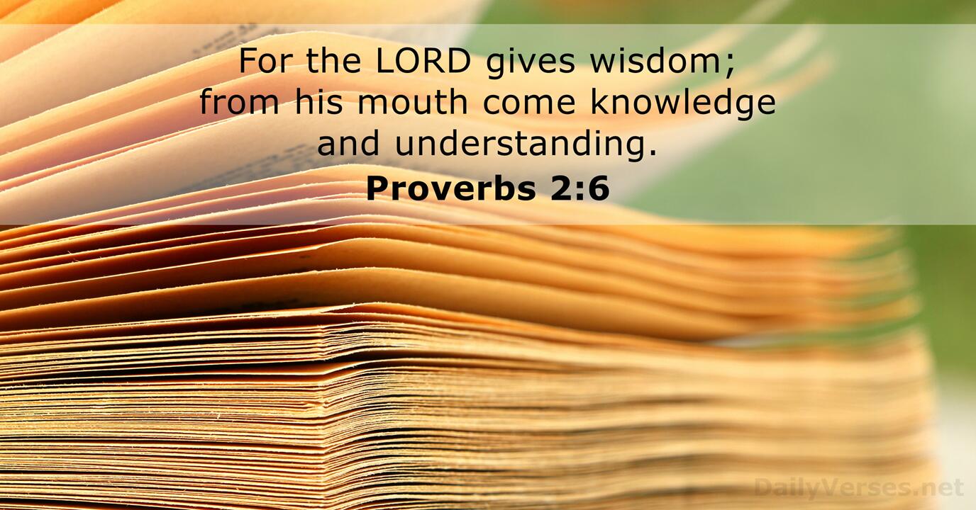 Proverbs 2 NASB NIV DailyVerses