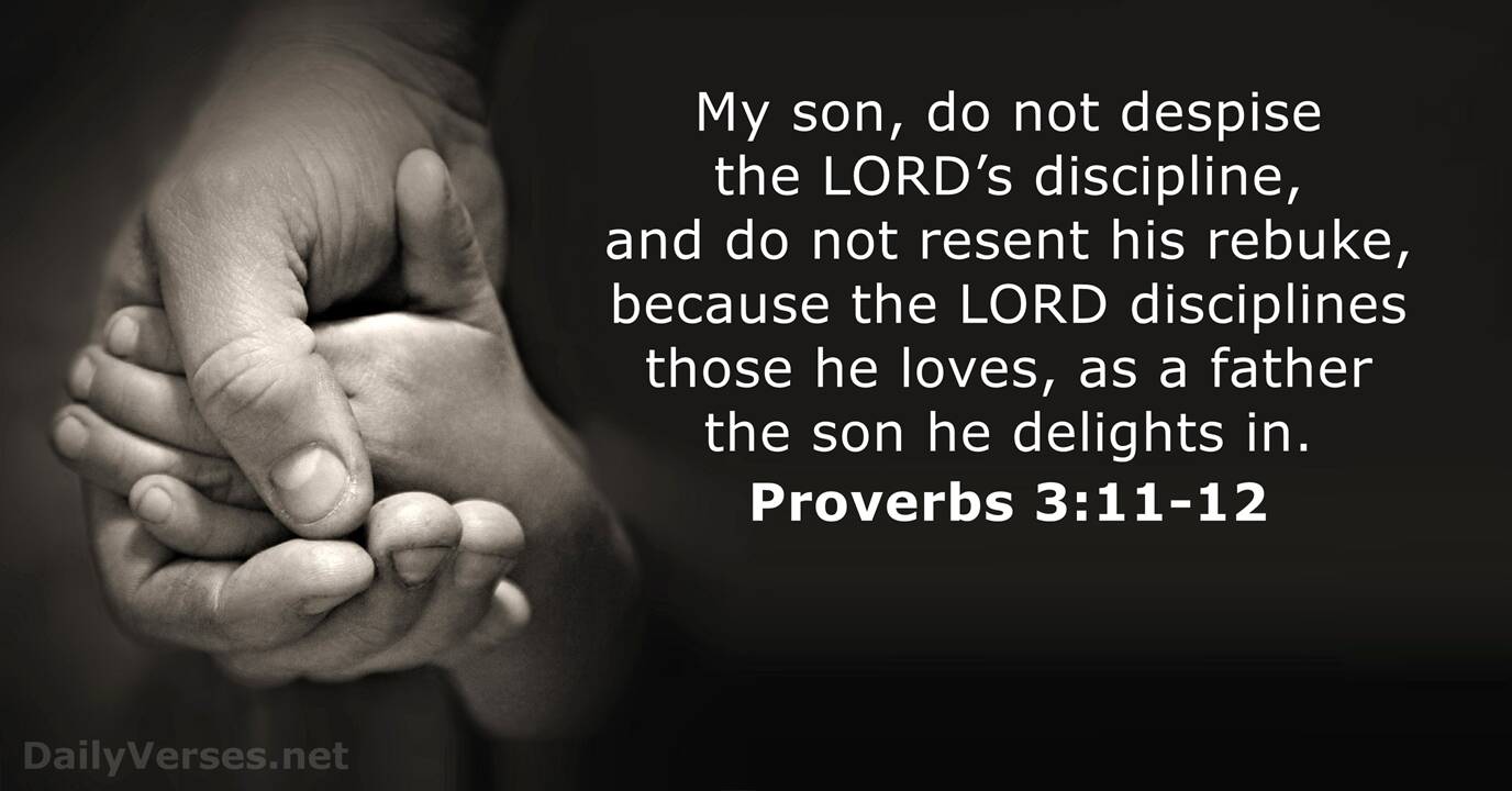 Proverbs 3 11 12 Bible Verse DailyVerses