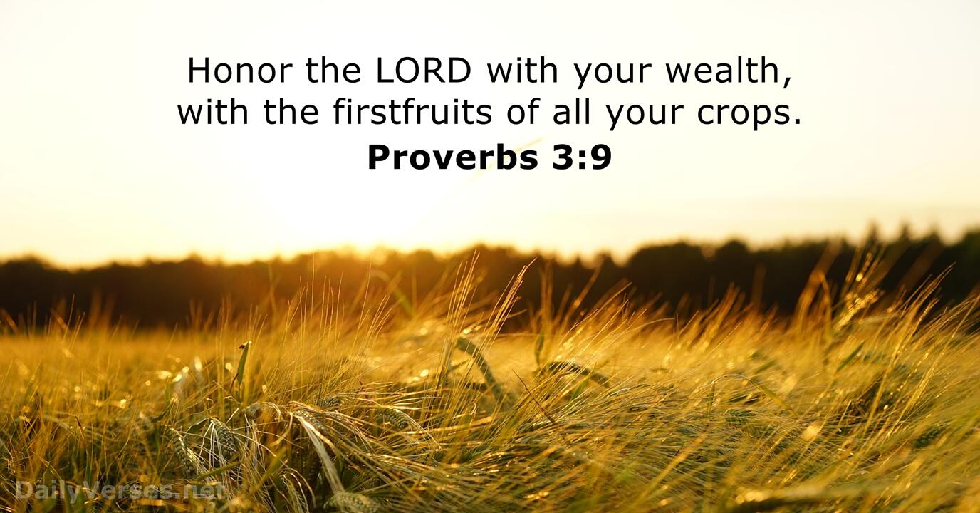Proverbs 3 9 Bible Verse DailyVerses