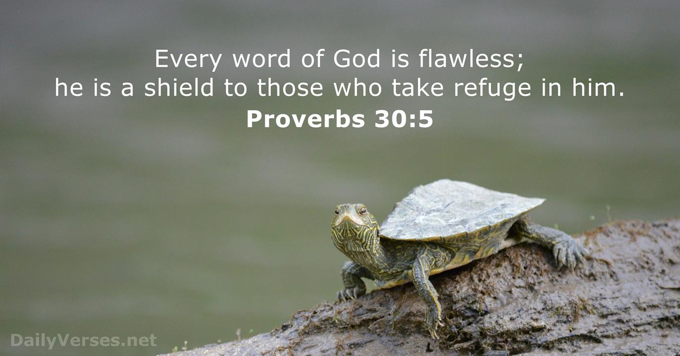 proverbs-30-5-bible-verse-dailyverses