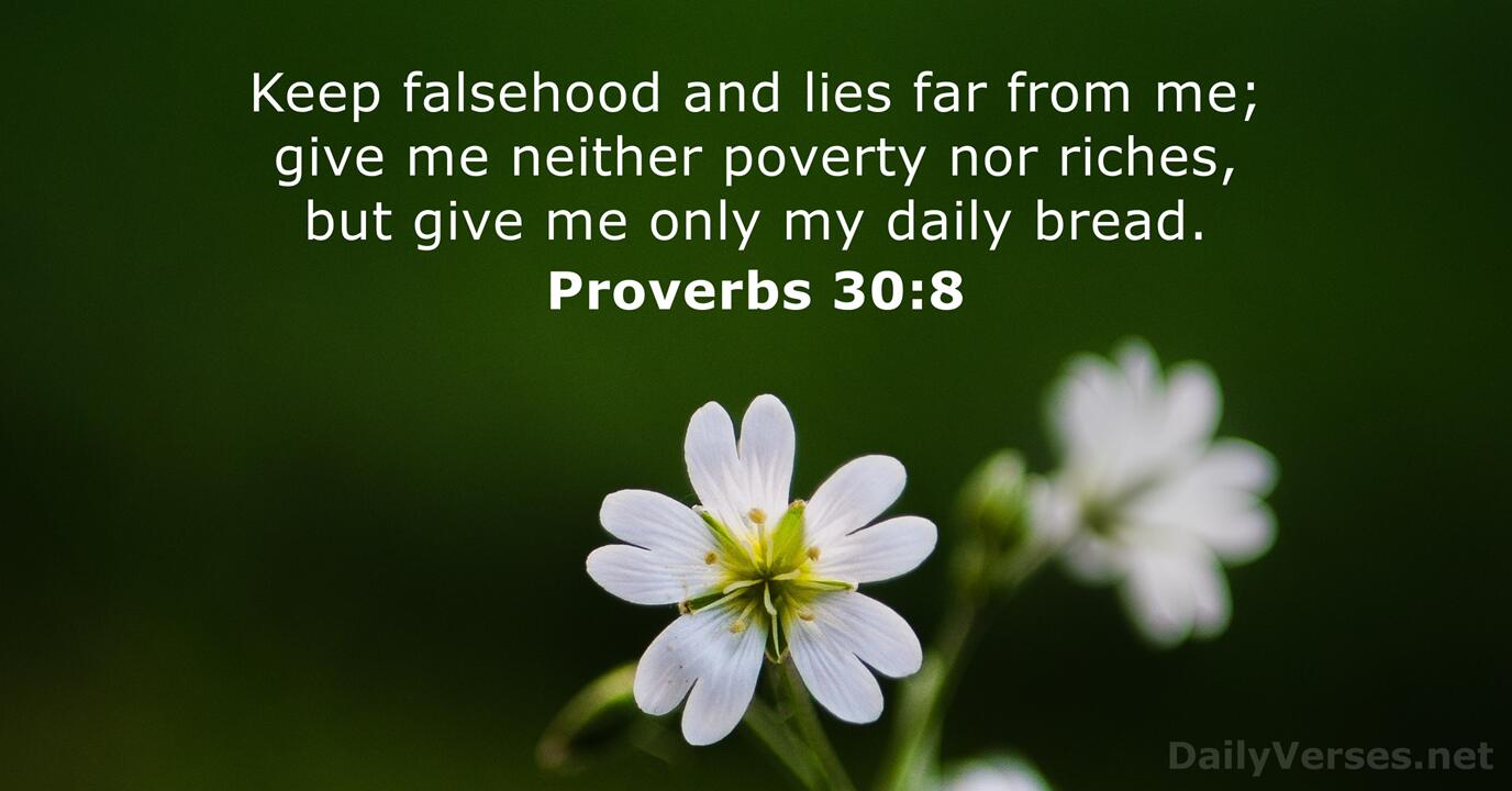 Proverbs 30 8 Bible Verse DailyVerses