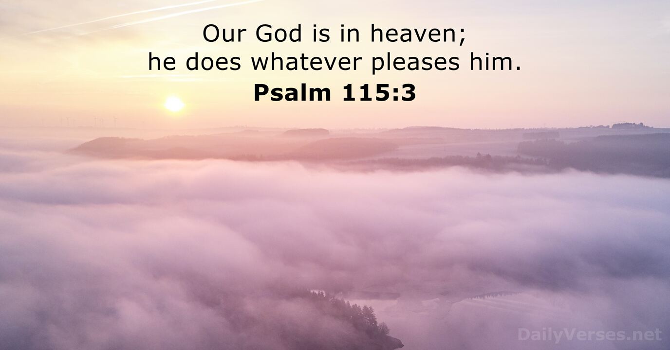 May 8, 2021 Bible verse of the day Psalm 1153