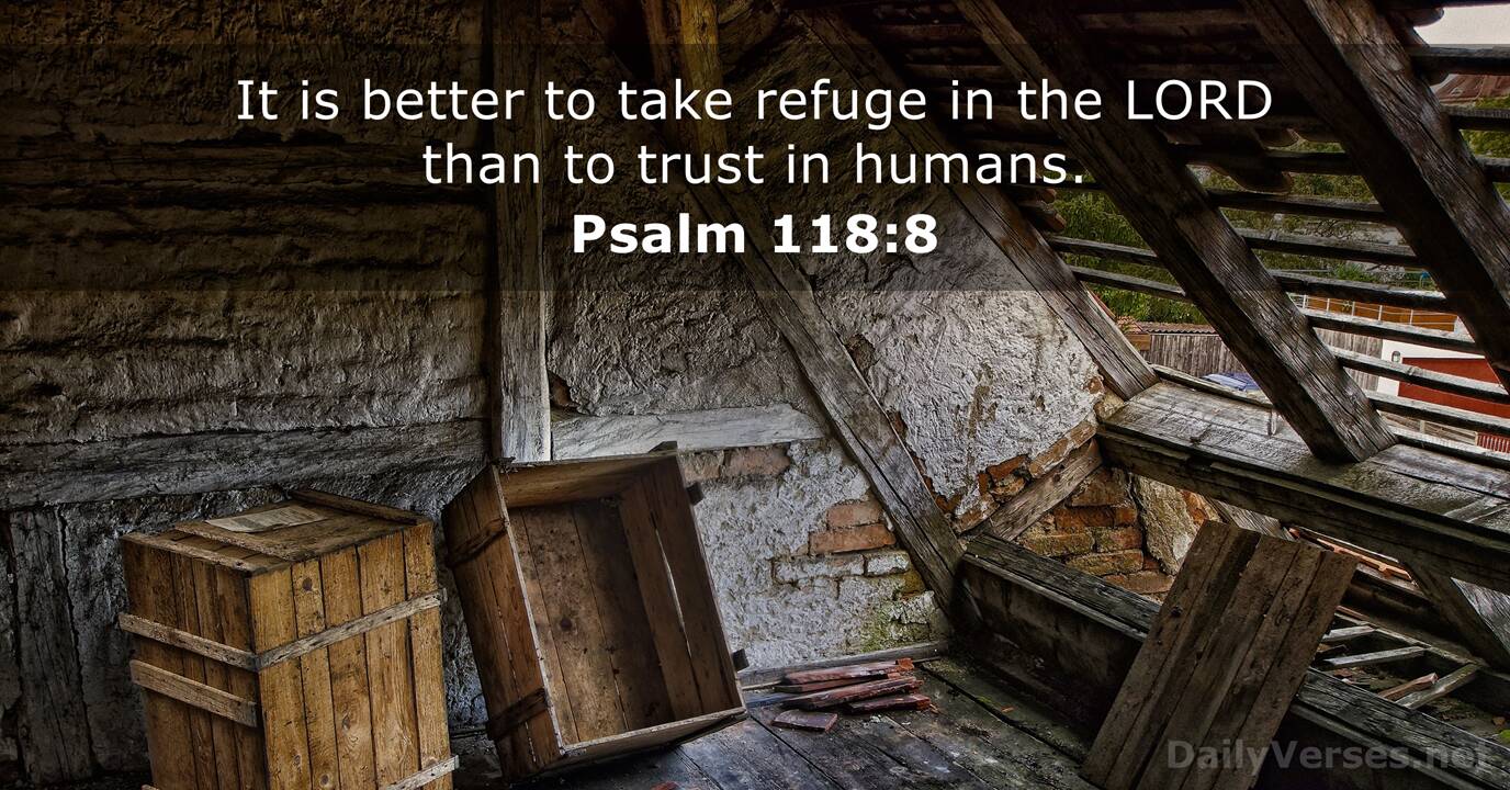 Psalm 118 8 Bible Verse DailyVerses
