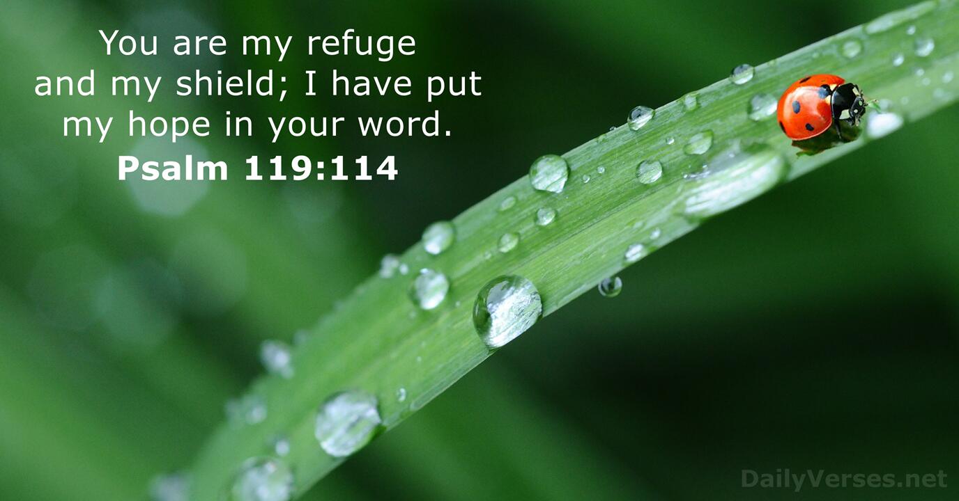 december-14-2021-bible-verse-of-the-day-psalm-119-114