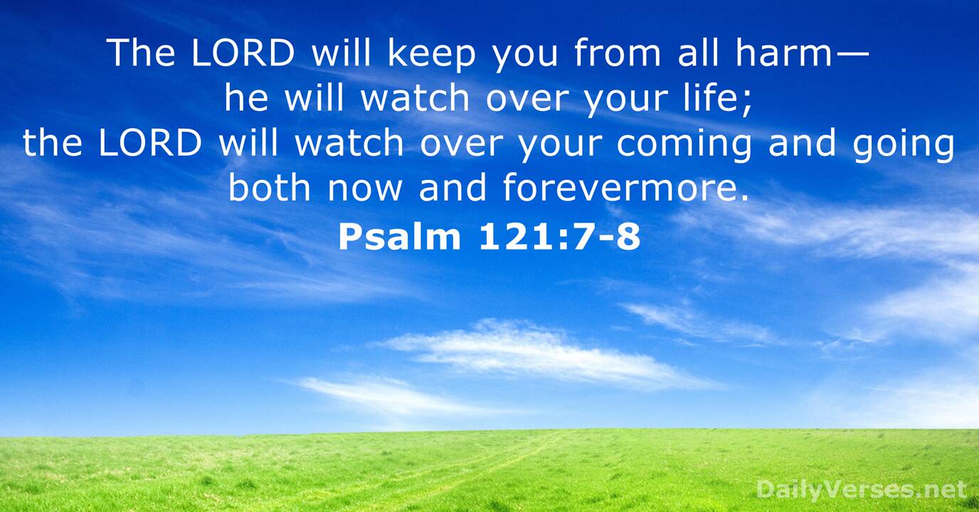 119 Bible Verses About Life DailyVerses