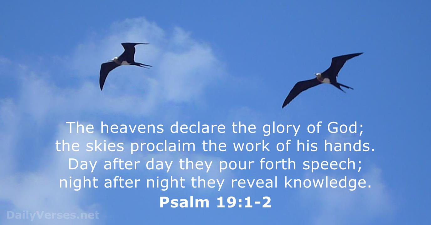 VERSE OF THE DAY The heavens declare the glory of God; the skies proclaim  the work of his hands. Day after day they…