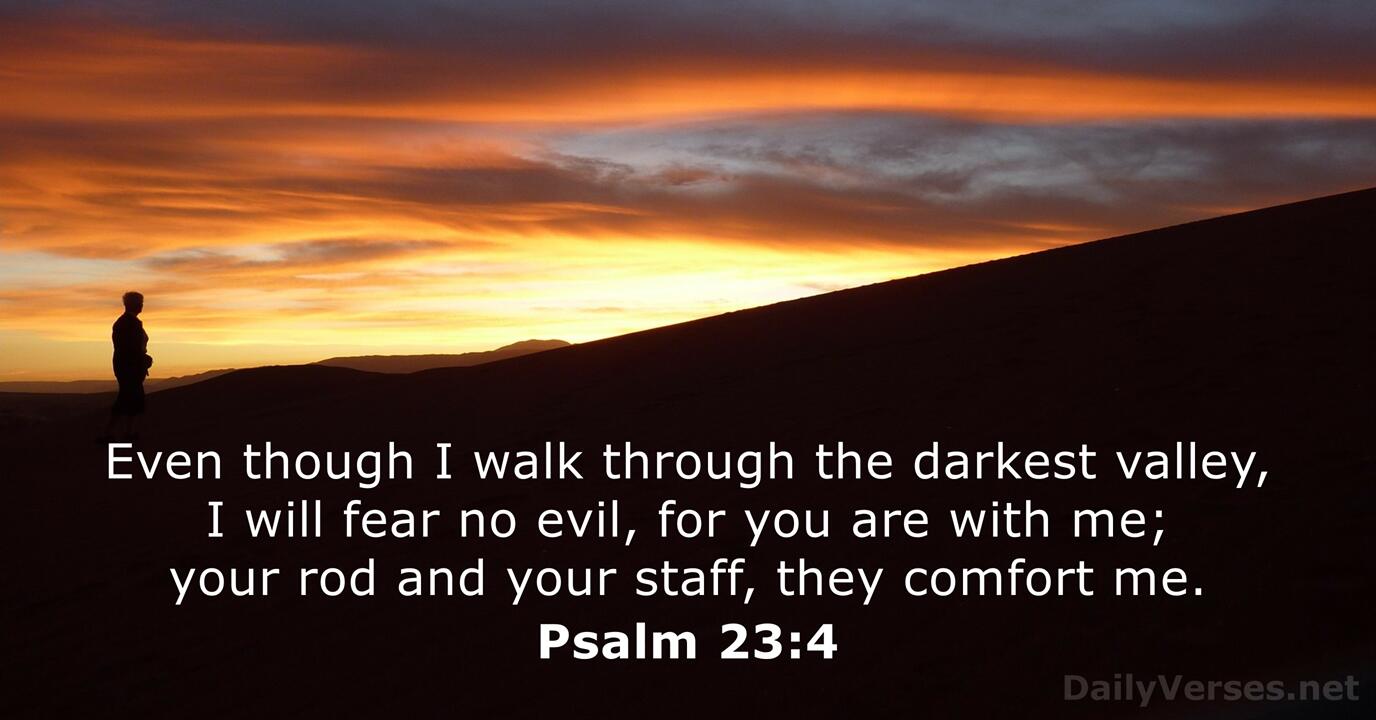 Psalm 23:4 - Bible verse - DailyVerses.net