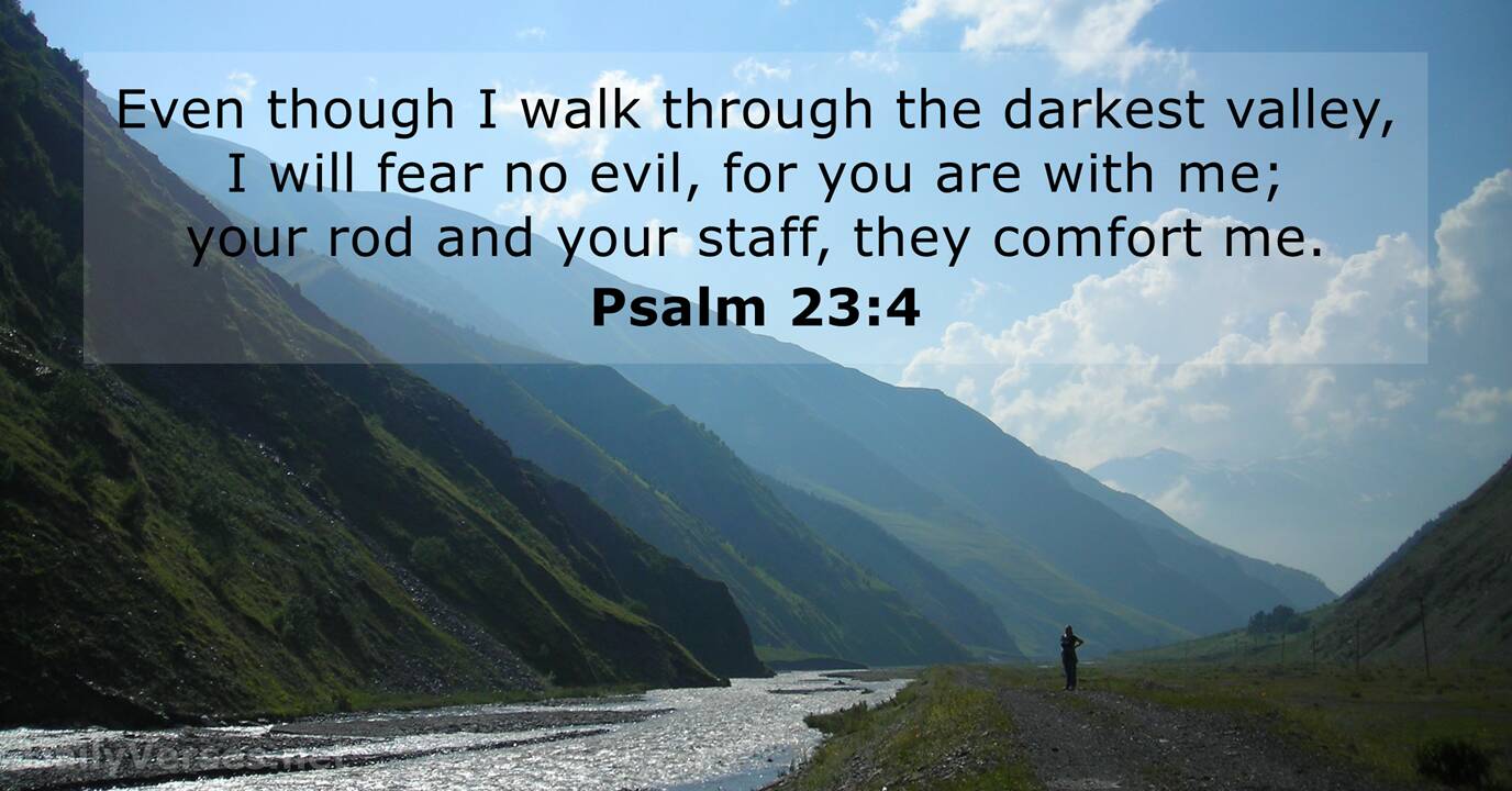 Psalm 23:4 - Bible verse - DailyVerses.net