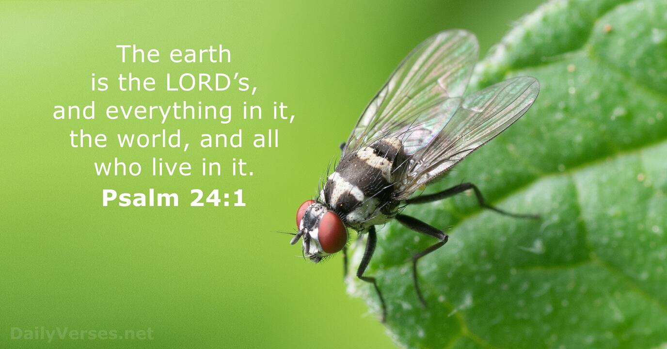 November 21 2022 Bible Verse Of The Day Psalm 24 1 DailyVerses
