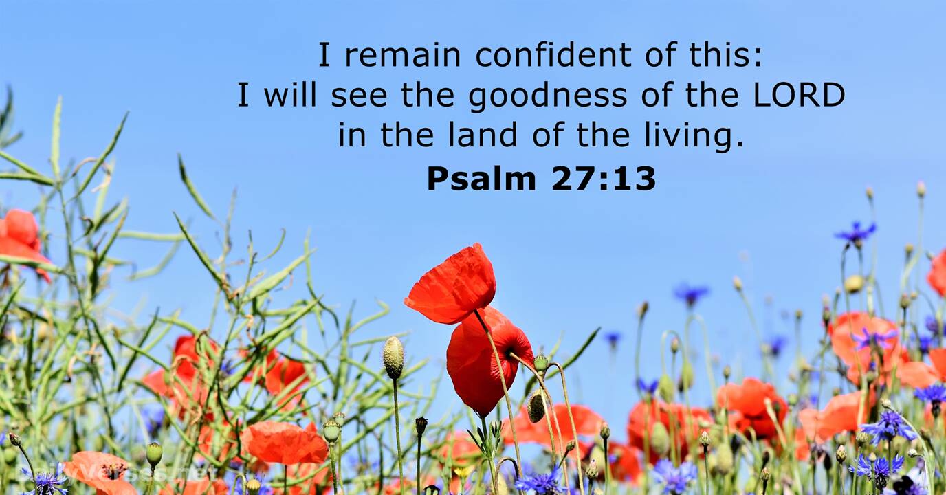 Psalm 27 13 Bible Verse DailyVerses