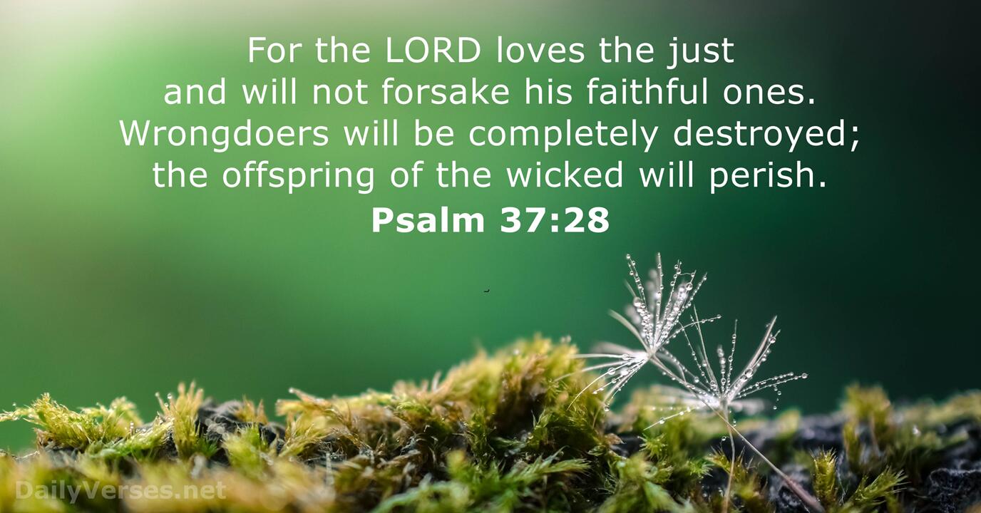 Psalm 37 28 Bible Verse DailyVerses