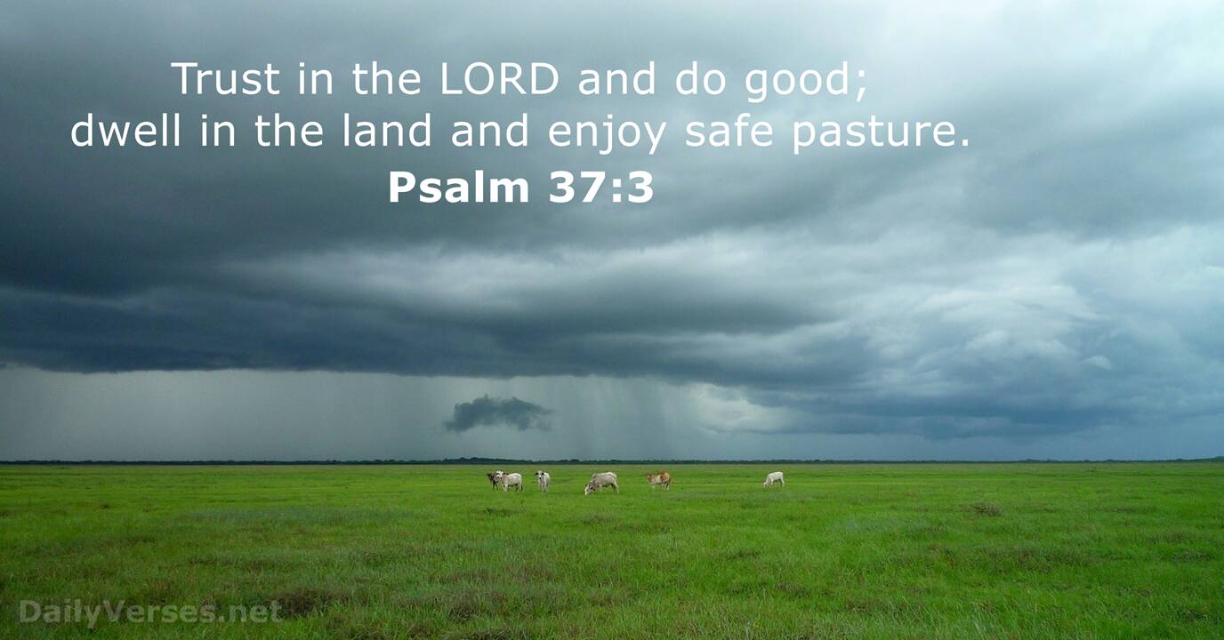 Psalm 37 3 Bible Verse DailyVerses
