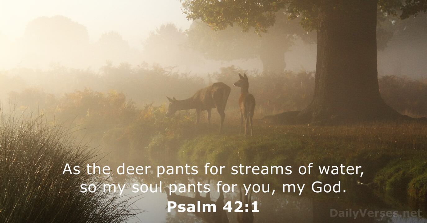 verse-of-the-day-psalm-42-11-lf-radio