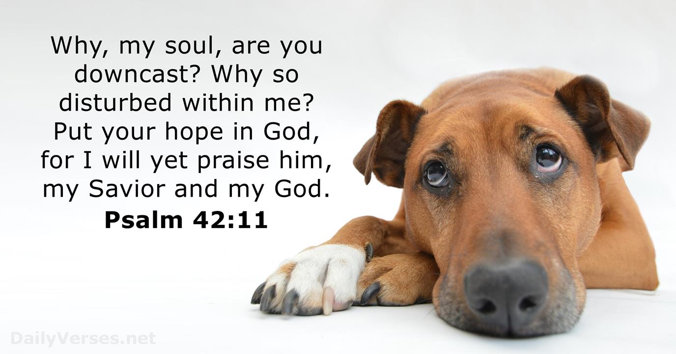 Psalm 42 11 ESV Bible Verse Of The Day DailyVerses