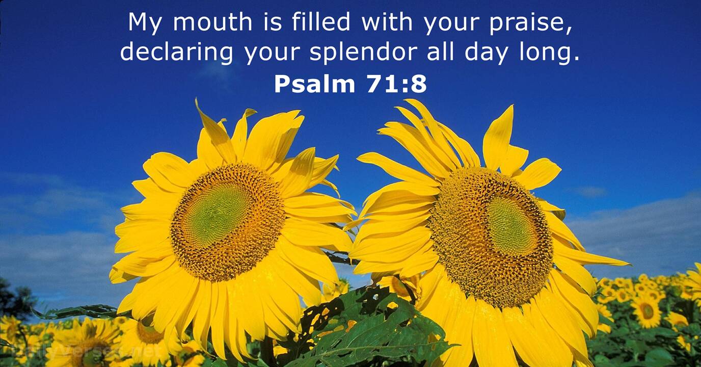 Psalm 71 8 Bible Verse DailyVerses