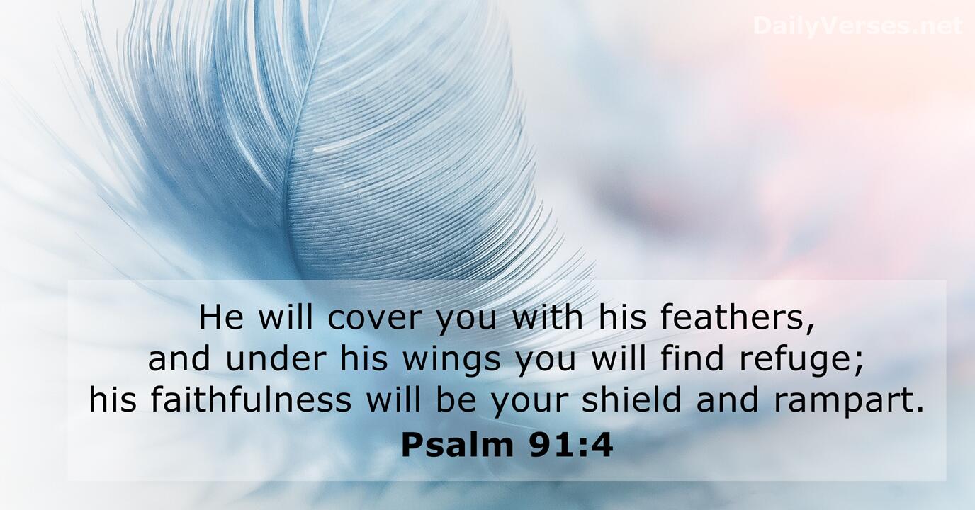 July 9, 2022 - Bible Verse Of The Day (Nlt) - Psalm 91:4 - Dailyverses.net