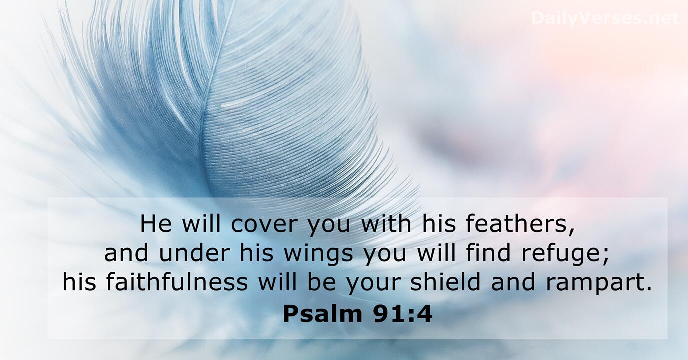 psalm-91-4-bible-verse-dailyverses