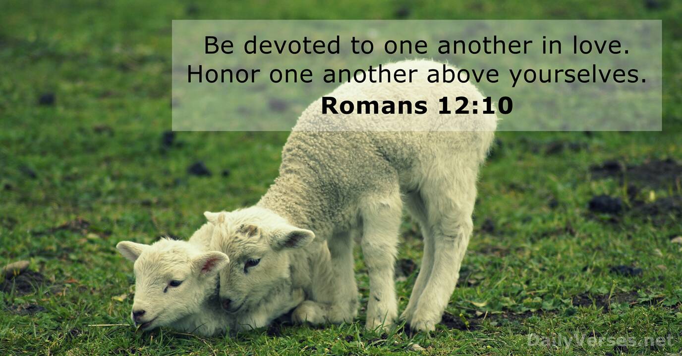 Romans 12 10 Bible Verse DailyVerses