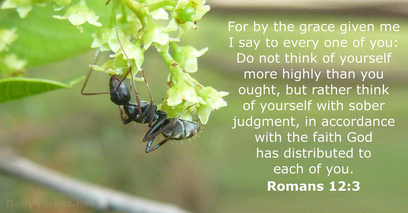 Romans 12 3 Bible Verse DailyVerses