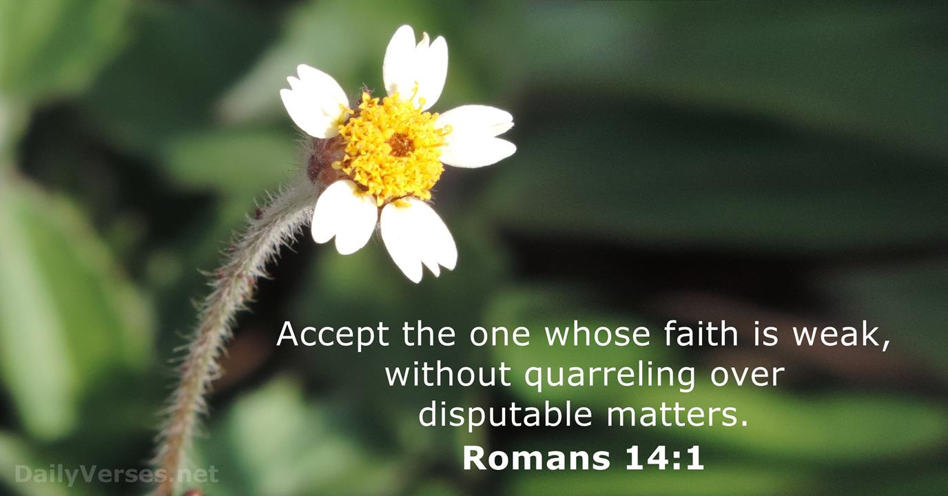 Romans 14 1 Bible Verse DailyVerses