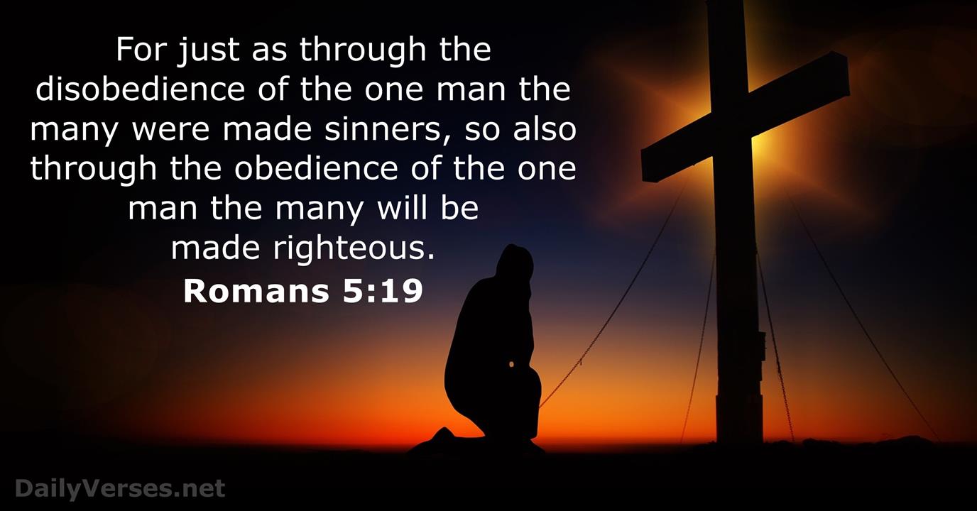 Romans 5 19 Bible Verse DailyVerses