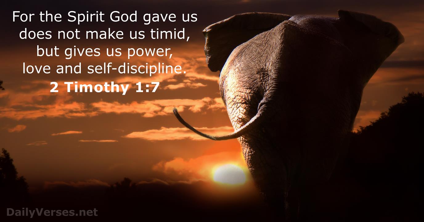 for the spirit of god does not make us timid