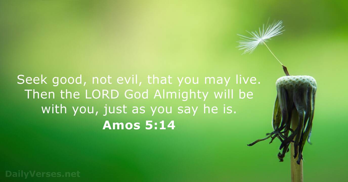 January 15 2021 Bible Verse Of The Day Amos 5 14 Dailyverses Net